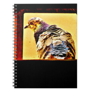 Colourful Pigeon Notebook