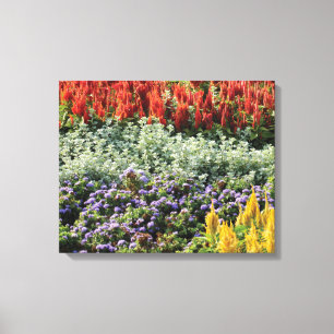 Colourful Plants Photo Wrapped Canvas Print
