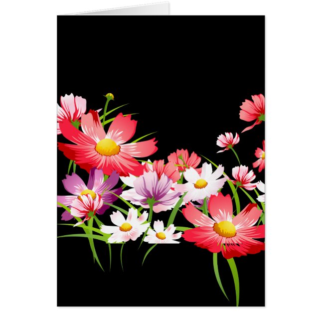 Colourful Poppies (Front)