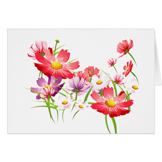 Colourful Poppies (Front Horizontal)