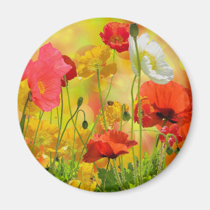 Colourful Poppies Magnet