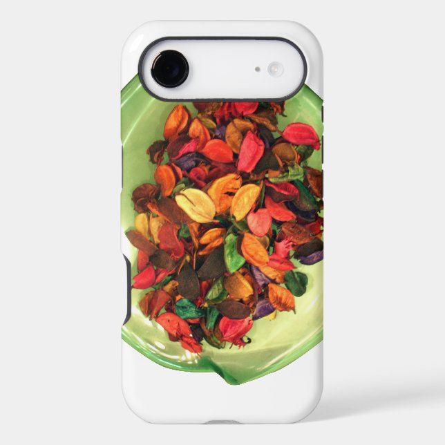 Colourful Potpourri: A Scent-sational Display (Back)