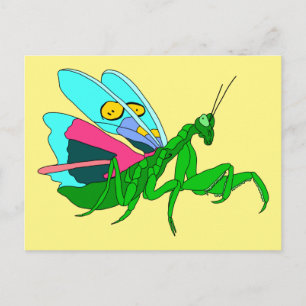 Colourful Praying Mantis Postcard