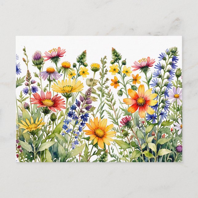 Colourful pretty wildflowers watercolor painting postcard (Front)