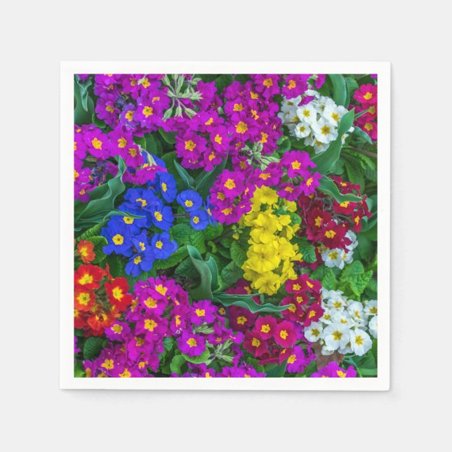 Colourful primroses napkin (Front)