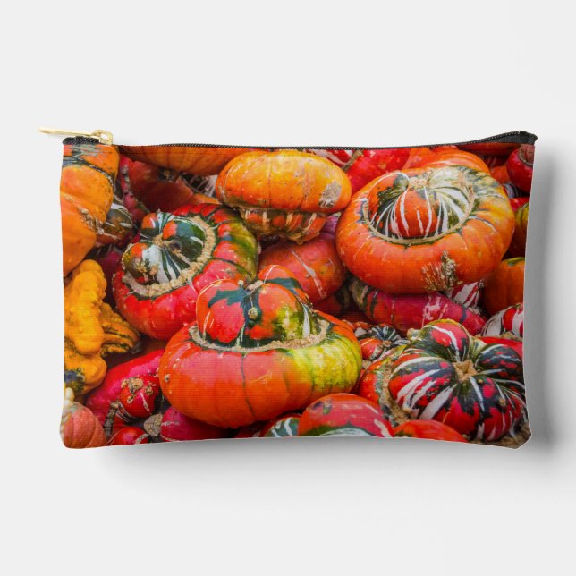 Colourful pumpkins accessory pouch (Front)