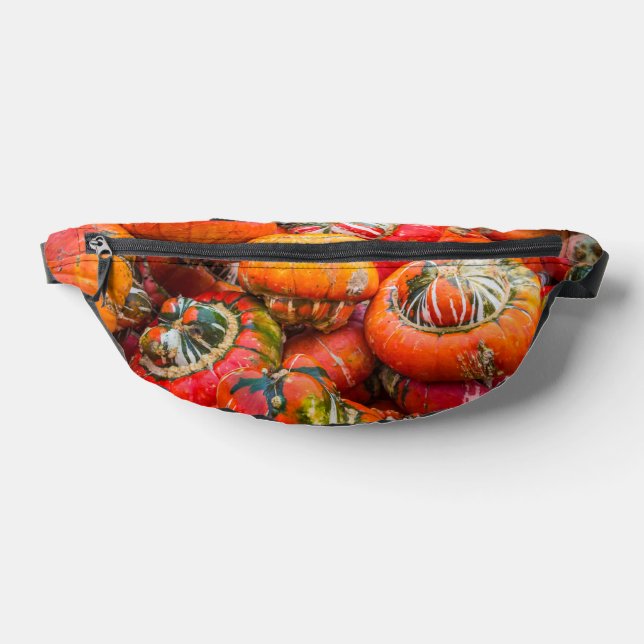 Colourful pumpkins bum bags (Lay Down)