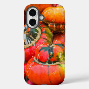 Colourful pumpkins iPhone 16 case