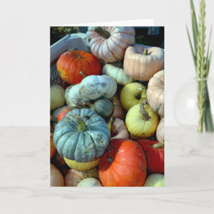 Colourful pumpkins greeting card