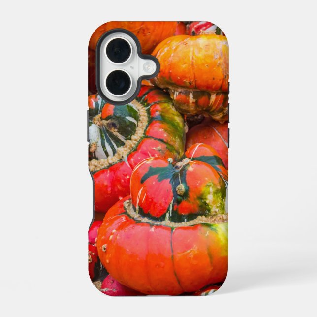 Colourful pumpkins iPhone 16 case (Back)