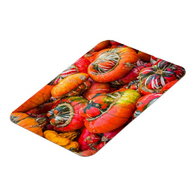 Colourful pumpkins magnet (Left Side)