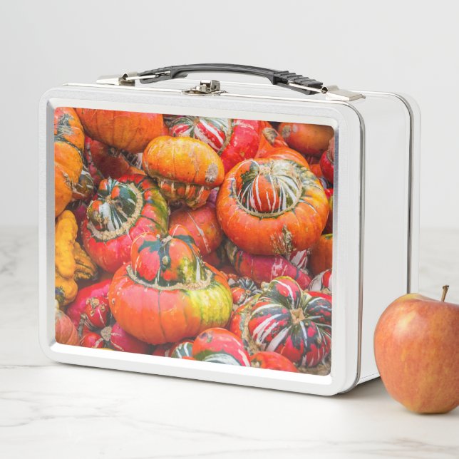 Colourful pumpkins metal lunch box (In Situ)