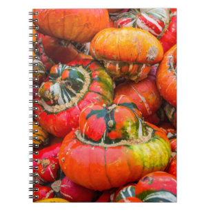 Colourful pumpkins notebook