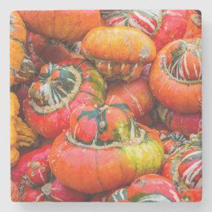 Colourful pumpkins stone coaster