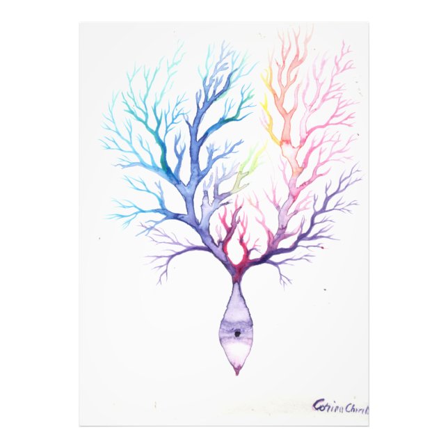 Colourful Purkinke neuron Photo Print (Front)