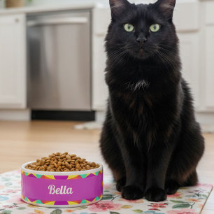 Colourful Purple Retro Geometric Ceramic Pet Bowl