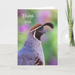 Colourful Quail, Thank you Card