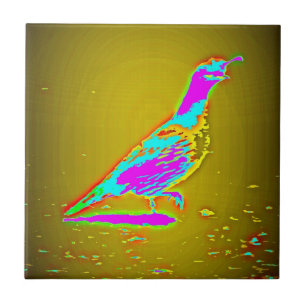 colourful quail tile