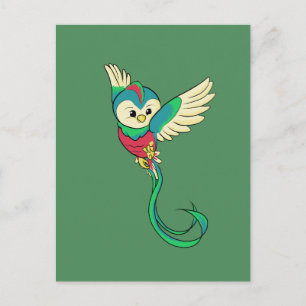 Colourful Quetzal! Postcard