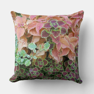 Colourful Rainbow Coleus Plants Photograph Cushion