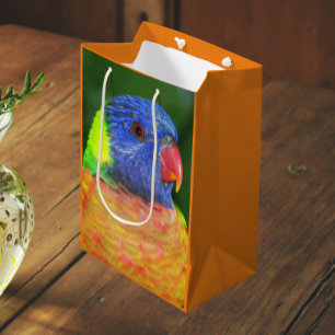 Colourful Rainbow Lorikeet Parrot Photo Medium Gift Bag
