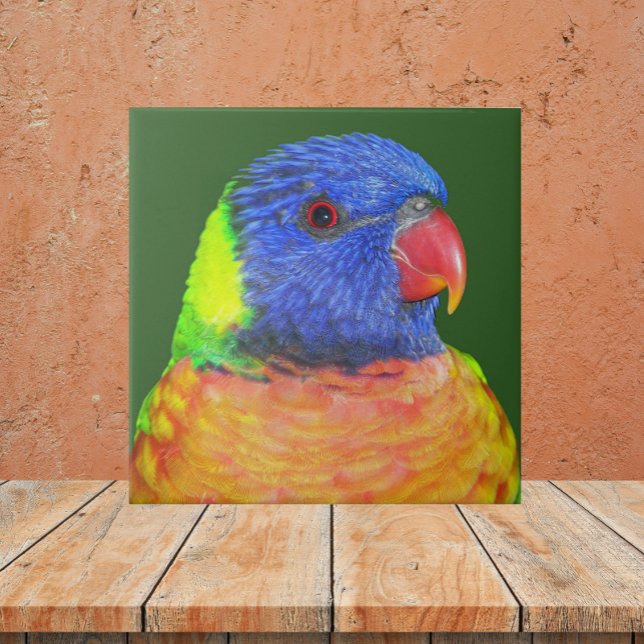 Colourful Rainbow Lorikeet Parrot Photo Tile (In Situ)