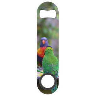 Colourful Rainbow Lorikeet Parrots Eating