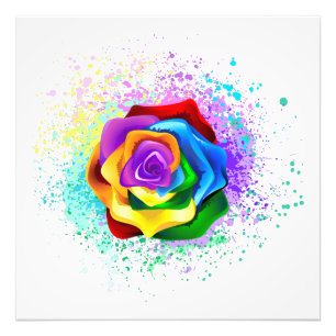 Colourful Rainbow Rose Photo Print