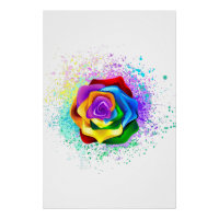 Colourful Rainbow Rose