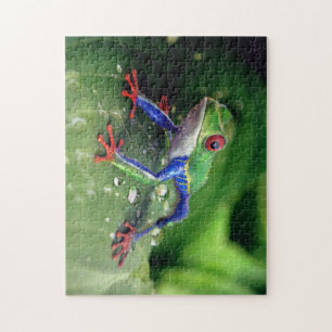 Colourful Red Eye Tree Frog on Plant Leaves Jigsaw Puzzle