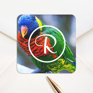 Colourful red green blue lorikeet bird monogram square sticker