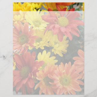 colourful red, yellow and orange daisy flowers