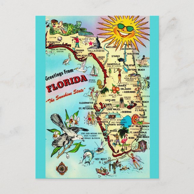 Colourful Retro Florida Postcard  (Front)