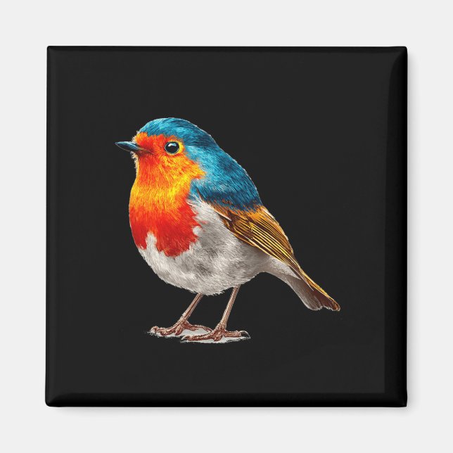 Colourful Robin Costume for Birds and Feather Magnet (Front)