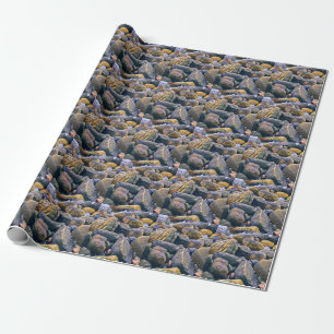 Colourful rocks wrapping paper