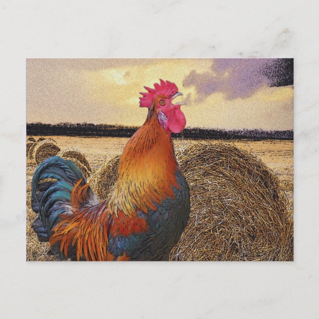 Colourful Rooster and Hay Bale Postcard (Front)