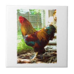 Colourful Rooster Tile