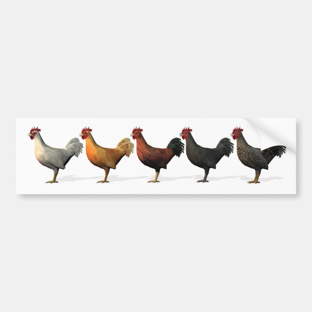 Colourful Roosters Bumper Sticker (Front)