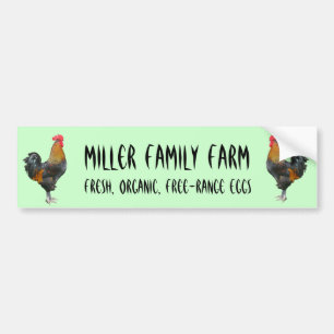 Colourful Roosters Bumper Sticker