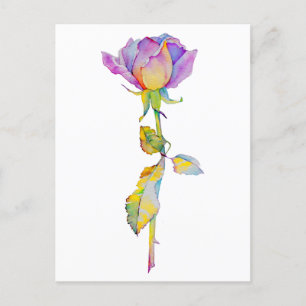 Colourful Rose Anytime Card