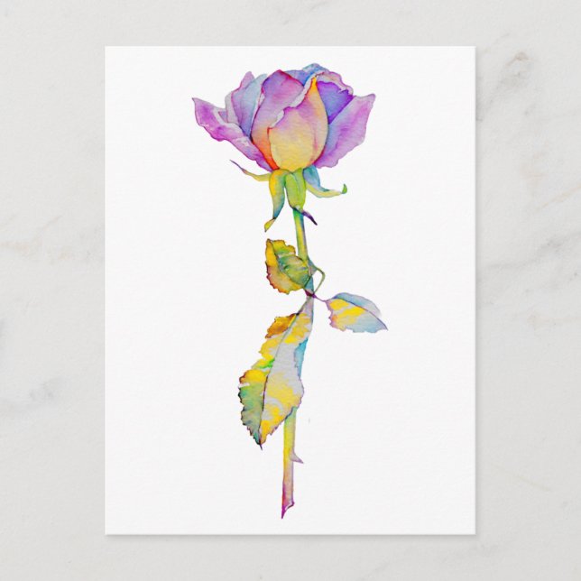 Colourful Rose Anytime Card (Front)