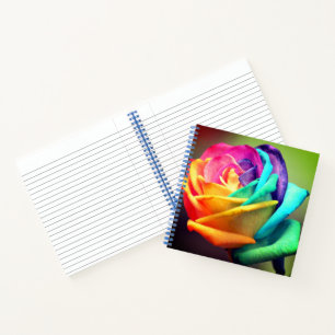 Colourful Rose Notebook