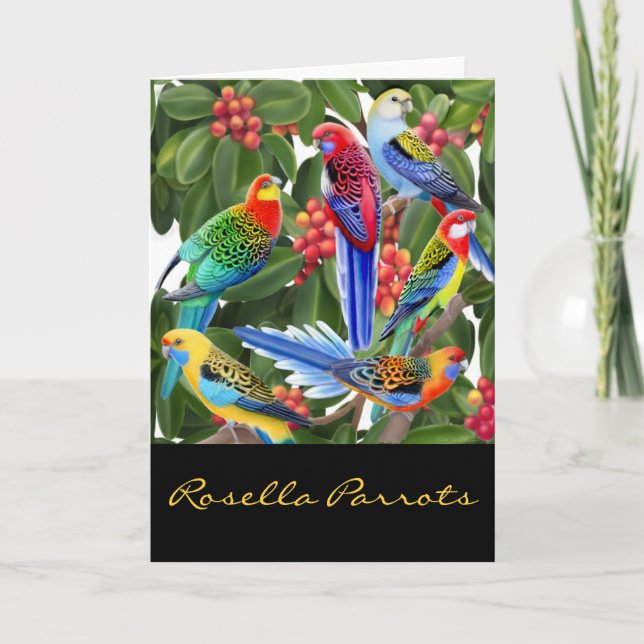 Colourful Rosella Parrots Card (Front)