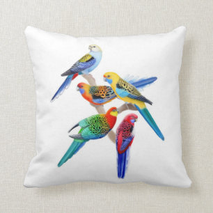 Colourful Rosella Parrots Pillow