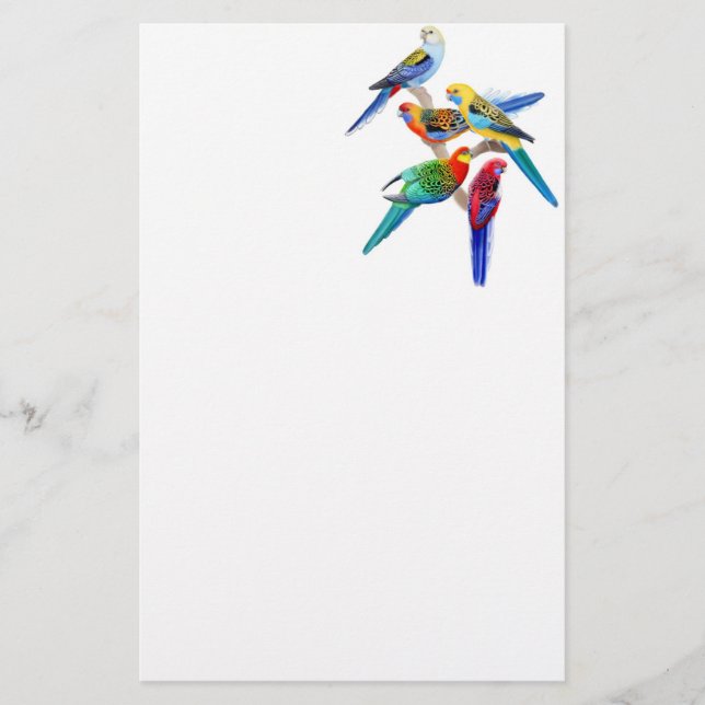 Colourful Rosella Parrots Stationery (Front)