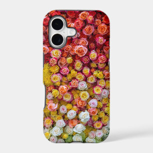 Colourful Roses and Chrysanthemums Floral Gradient