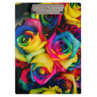 Colourful roses
