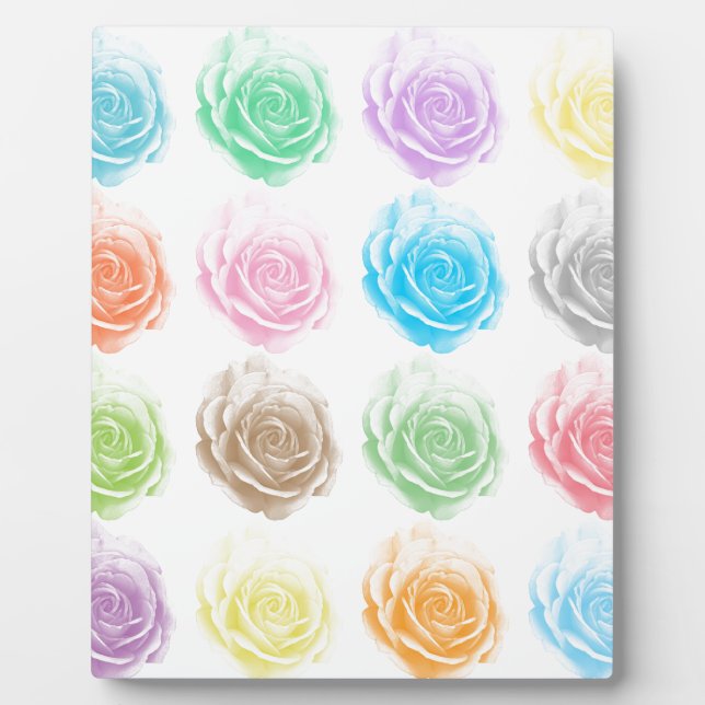 Colourful roses pattern plaque (Front)
