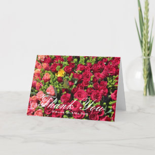 Colourful Roses Thank You Card