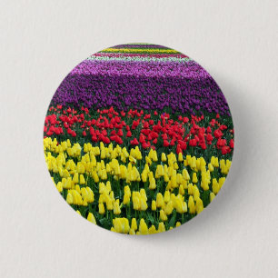 Colourful rows of spring tulips 6 cm round badge